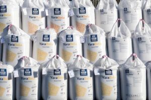 Des centaines de grands sacs remplis chacun de 600 kg d’engrais agricoles à base de nitrates d’ammonium dans l’usine Yara, site classé Seveso, à Montoir-de-Bretagne, en Loire-Atlantique, en avril 2021 — Photo Thomas Louapre pour Les Jours.