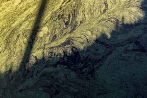 Dans ses arrêtés de 2011, la préfecture a demandé à Yara de traiter ses eaux usées plutôt que de les jeter directement dans la LoirePhoto Thomas Louapre pour Les Jours.